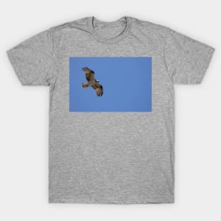 Osprey_VOA7601 T-Shirt